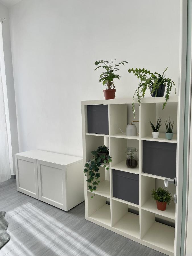 Ami House Rom